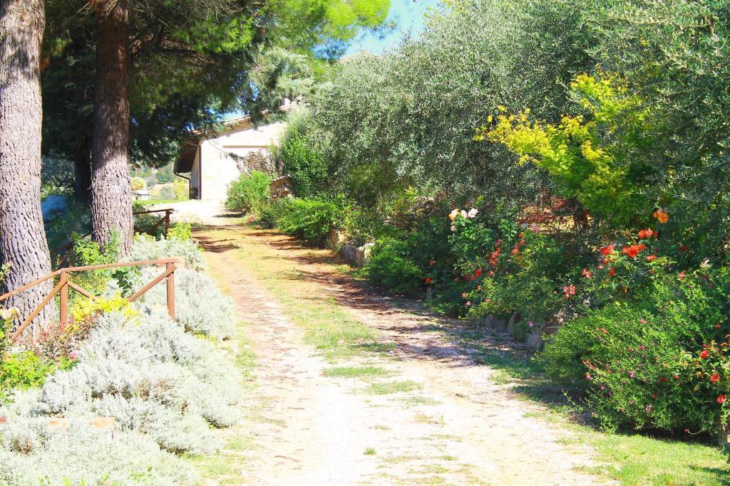 Antica Fonte Konuk evi Assisi Dış mekan fotoğraf