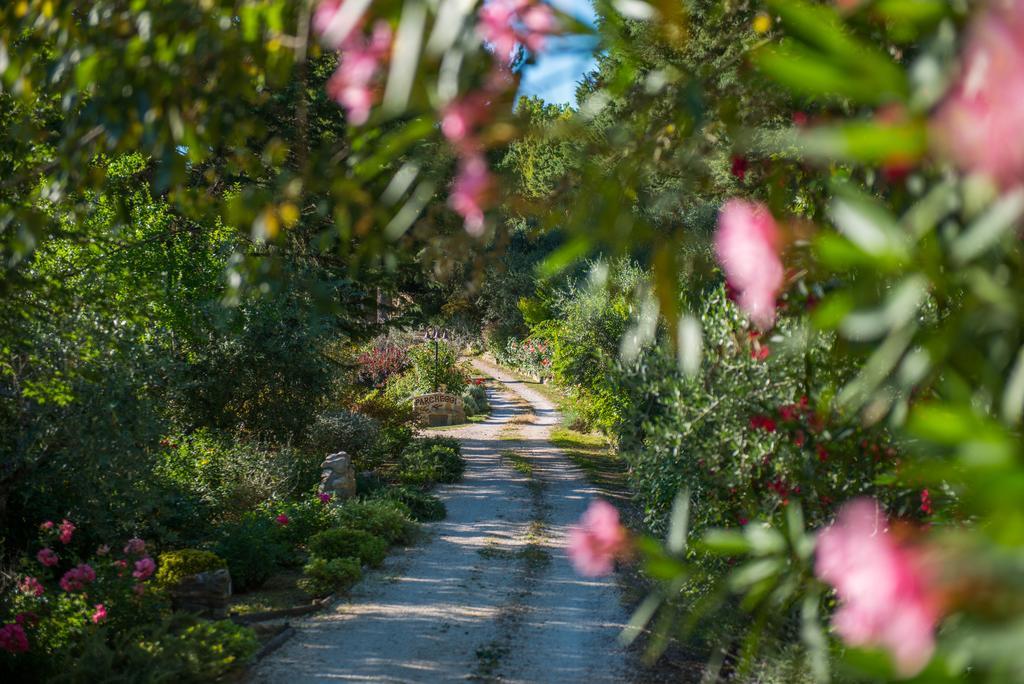 Antica Fonte Konuk evi Assisi Dış mekan fotoğraf