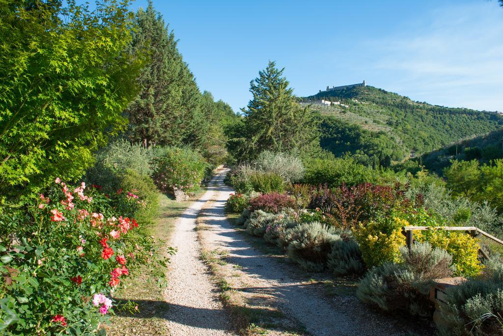 Antica Fonte Konuk evi Assisi Dış mekan fotoğraf